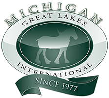 Michigan Great Lakes International