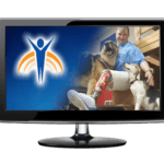 Video monitor with Springer Prosthetics "Canine" image, woman with prosthetic leg with two dogs.